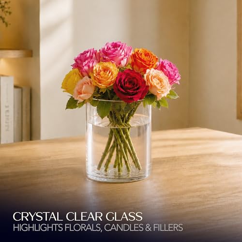 Royal Imports Glass Cylinder Flower Vase 8" Tall, 6" Opening, Clear - size: 6" wide x 8" tall