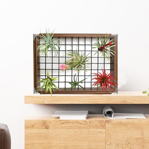 Plant Hanger Indoor Outdoor, 16" Large Hanging Planters for Indoor Plants