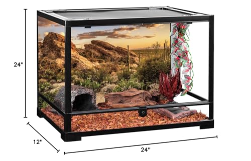 24x12 in Desert Reptile Habitat Backdrop Oasis Cactus Terrarium Background | AWERT Blue Sky Sunset Desert Landscape Durable Polyester Background - size: 24x12 inches