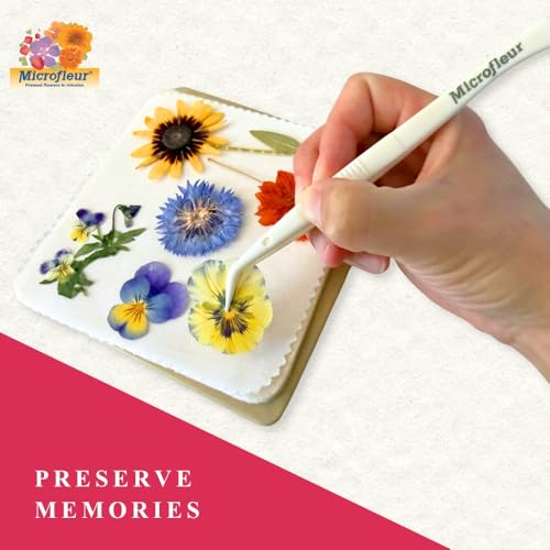 Microfleur Microwave Flower Press Refill Pack, DIY Floral Art - 5" (13 cm) - style: Refill Only