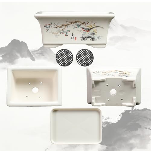 Bonsai Pots with Drainage Tray, 6" Rectangular Chinoiserie Decor - color: White-4