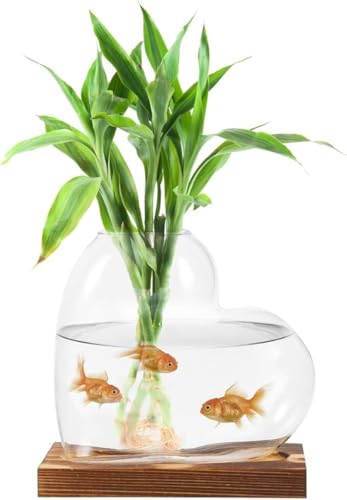 Hydroponic Vase for Indoor Plants with Wooden Base Water Propagation Station Glass Plant Display Terrarium Container