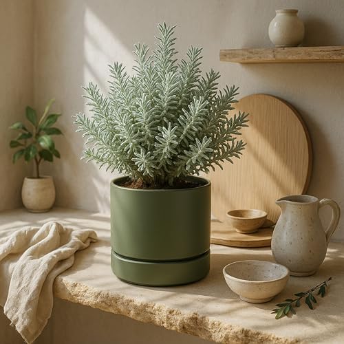 Phoenix Vine 6 Inch Planter Pot with Drainage Hole & Saucer, Deep Water Catch Tray, Straight Cylindrical Round Pot for Plants, Olive, Pack of 2, 23-D-S-2 - color: Olive, size: 6" (2 Pack)