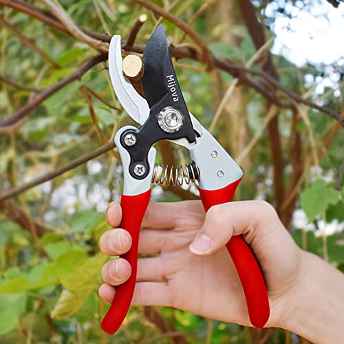 Garden Pruners, Heavy Duty Garden Clippers, Pruning Shears with Adjustable Thumb Lock, Hand Gardening Tools Pruners, High Carbon Steel Sharp Gardening Scissors (black) - color: Black