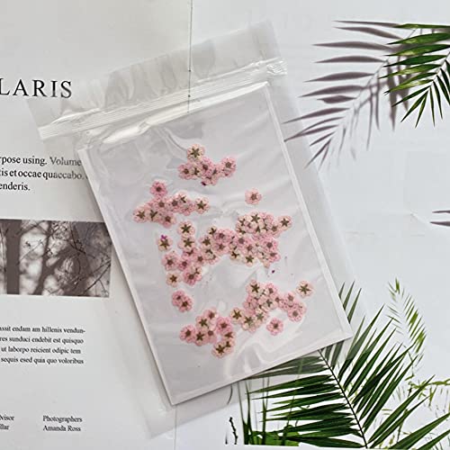 YUNZHI Pressed Flower for Resin Small Plum Blossom Narcissus, Dried Flower, Real Flower, Nail Flower Material, Glue Drop, Mobile Phone case, Hand Made 100pcs/pack (Light Pink) - color: Light Pink
