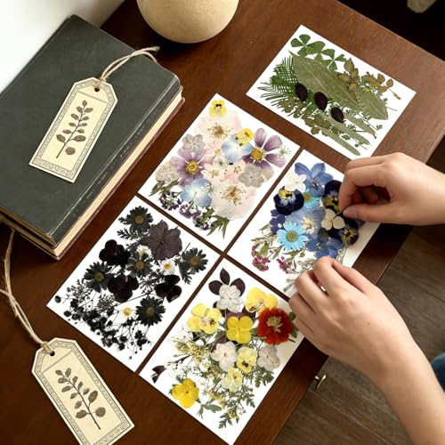 110Pcs Dried Flowers for Crafts, Pressed Black Flowers Dry Leaves Bulk - color: Black Purple Blue Yellow