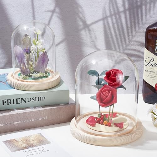 2 Pcs Cloche Glass Dome With Wood Base, 5.5"x6.5"/4.3"x5.3", Glass Cloche Dome Display with Handle For Cake, Plant, Wedding Party, Bell Jar Transparent