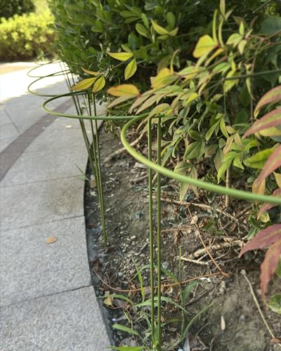 10-Pack Plant Support Stakes, Heavy Duty Steel Plant Stakes as Monstera Plant Support & Peony Cages, Metal Garden Stakes for Indoor Outdoor Plants, Snake Plant & Vine Support, 10" W x 15.8" H