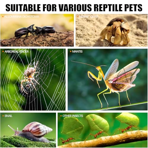 3x3x6 Acrylic Jumping Spider Enclosure - Pre-Assembled Habitat - size: 3"3"6"