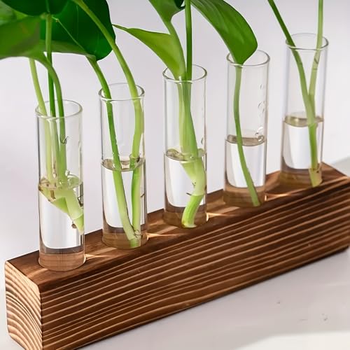 Plant Propagation Station with Wooden Frame Glass Containers, Hydroponic Flower Pots, Perfect As a Birthday Gardening Gift for Women, Mothers, and Plant Enthusiasts