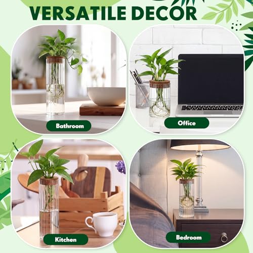 6 Sets Plant Propagation Vases, Glass Plant Propagation Station Desktop Water Planting Vase with Lid 3 Size Glass Flower Vases for Propagating Hydroponic Flowers Centerpiece Office Home