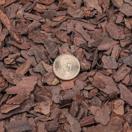 Orchid Bark 2qt, Natural Pine Bark Mulch for Plants, Great for Orchids, Succulents, Cactus, Bonsai, Ideal for Houseplant Mulch - color: Orchid Bark, size: 2qt