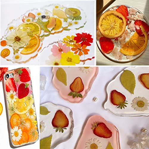 70PCS+ Nature Dried Pressed Fruits Flowers for Resin Mold, Real Dry Pressing Floral Set for DIY Jewelry Making Nail Card Scrapbook Art Craft Fruits Style - color: Bright Fruit