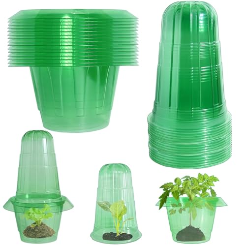 Slug Collars and Garden Cloches Set,Provides Effective Protection Against Snails for Your Salad Plants and Others Plants.(15 Pack) - color: Green 15pack