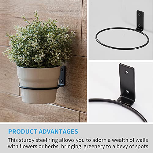 Plant Holder Ring 8 Inch Wall Mounted, 6 Pack Flower Pot Hangers Metal Plant Stand Hanging Bracket Basket Hooks - size: 8 inch-6 Pack