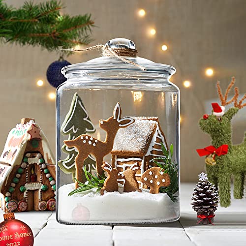 1.5 Gallon Glass Canisters with Airtight Lids, 2 Pack Flour & Cookie Jars | 5.9" Wide Mouth, Heavy Duty Glass Jar, Kitchen & Pantry Storage Containers for Cookie, Flour, Sugar, Rice, Pasta, Beans