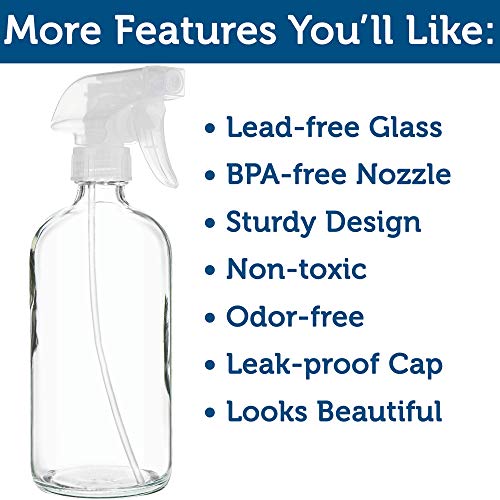 Large Clear Glass Spray Bottles, Empty, Refillable, Water, Fine Mist 16 oz