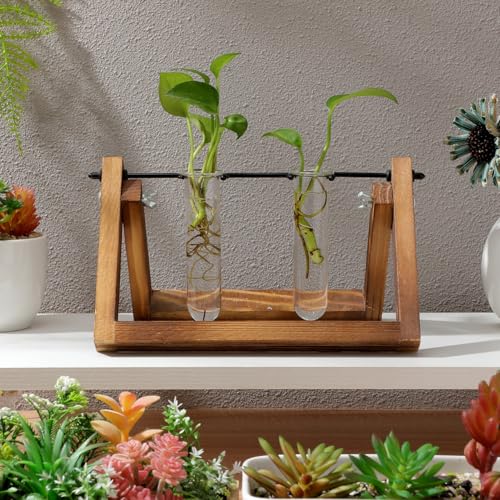 UKCOCO 5Pcs Glass Test Tube Vases 4.33 Inch Clear Propagation Tubes for Plant Cuttings Hydroponic Plant Holders Desktop Floral Arrangement for Home Office Decor