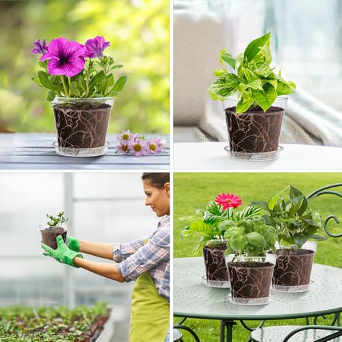 WSMKSZ 3 Inch Clear Nursery Pots, 30 Pack Highly Transparent Plastic Seedling Starter Planters with Drainage Holes and Trays for Flowers, Small Plant Pots for Indoor Plants - size: 3inch 30pcs