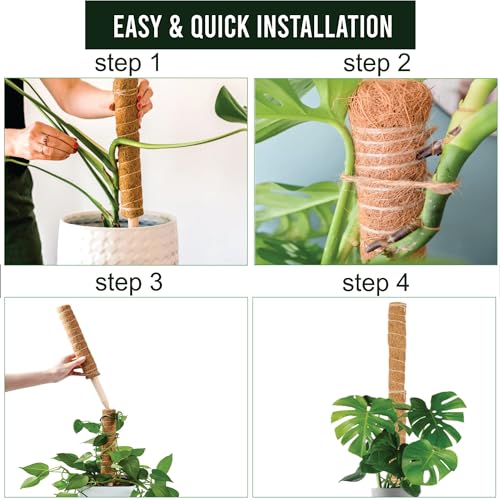 Moss Pole Pack of 4 – 50CM Monstera Plant Support | Natural Coco Coir Plant Poles for Indoor Plants | Extendable Moss Sticks for Climbing Plants, Pothos & Philodendron - size: Pack of 4