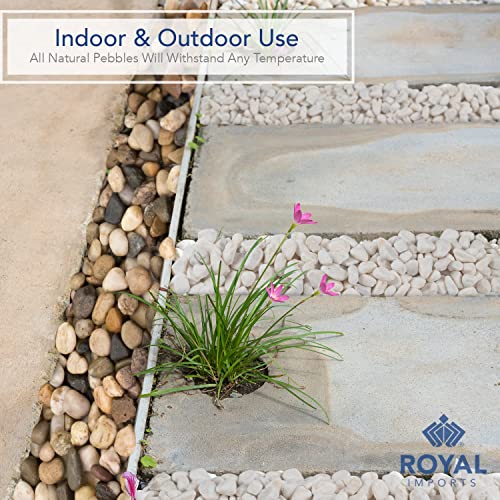 Royal Imports River Rocks, Aquarium Gravel – White 1"- 1.5" - 5 lbs | Decorative Ornamental Vase Filler Pebbles for Potted Plants, Terrariums, Vases, Succulents, Fish Tank Gravel, DIY & Crafting - size: Medium - 5 lbs, style: White