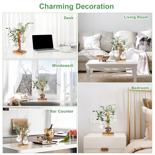 Plant Propagation Station with 4 Glass Vases & Wood Stand, Hydroponic Air Planter for Indoor Plants, Unique Gardening Gift for Women & Plant Lovers, Desktop Terrarium for Home Decor