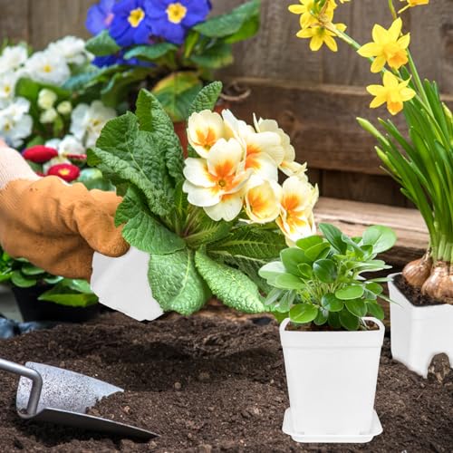 OJYUDD 72 Pcs 3 Inch White Square Plastic Pots with Saucer,White Plastic Plant Seedling Pots,Seedling Nursery Pots Indoor Outdoor for Succulents/Plant,Garden,Office and Balcony Decor - size: 72 Pack White