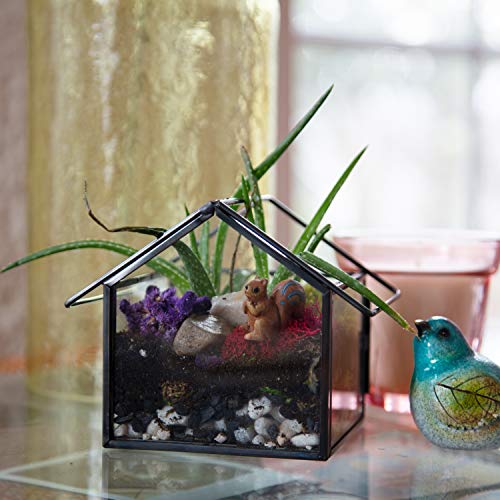 D'Eco Glass Mini Geometric Plant Terrariums 3 Pack, Triangle, House & Prism