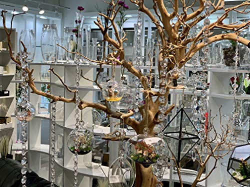 WGV Hanging Terrarium Globe, Width 5", Height 7", Double Hook, DIY Air Succulent Planter, Clear Glass Vase Orb, Candle Holder for Windowsill Outdoor Garden Decor, 6 Pieces Bulk - size: 5" Double Hook