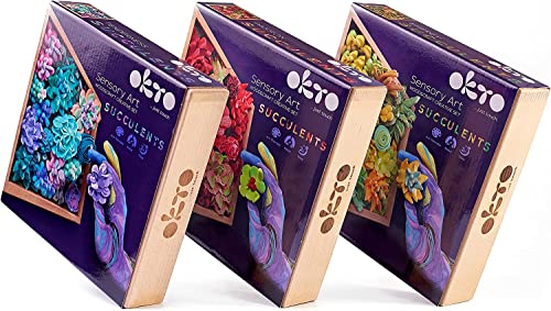 OKTO Art Kit Passion | Succulents Art Set 3D for Home Wall Decor | Craft Kits for Adults and Teen | Craft Box with Modeling Clay for Succulents Fun Stuff Hobbies Kits Succulent DIY Kits