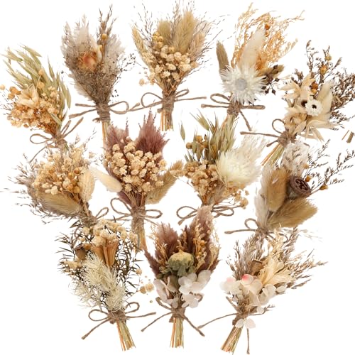 Layhit 12 Pcs Mini Dried Flower Bouquet Boho for Wedding,Rustic - style: Rustic