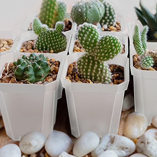 30Pcs 3" Clear Nursery Pots with Saucers, Thick Plastic Square Plant Pot | 3 inch Outdoor Garden Flower Planting Pot, Seedling Planter Seed Starter Pots - color: Clear