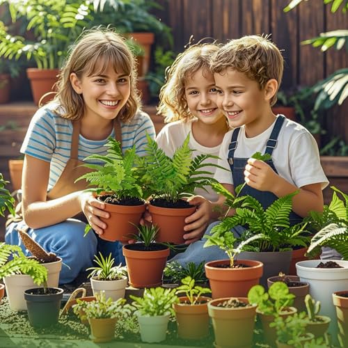 Doter Potting Soil Mix for Fern 4qt, Custom Hand Blended Mixture Suitable for Indoor/Outdoor Potted Fern Plant - size: 4qt