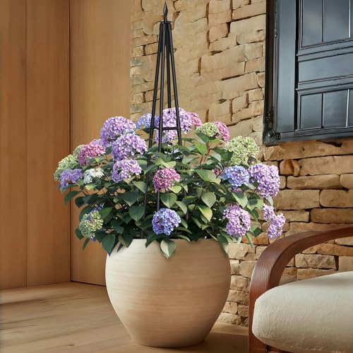 4FT Obelisk Trellis for Climbing Plants Outdoor, 16mm Rust-Proof Extra Thickened Plastic-Coated Metal Pipes, Indoor Climbing Support for Potted Plants, Vines, Flowers Stands,Black - size: 4.0FT