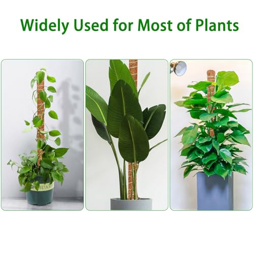 2 Pack Moss Pole, 47-Inch Moss Poles for Plants Monstera,Bendable Plant Support Stakes for Climbing Plants Indoor, Garden Trellis Plant Stick for Potted Plants, Pothos Philodendron - size: 2 Pack(47-Inch)