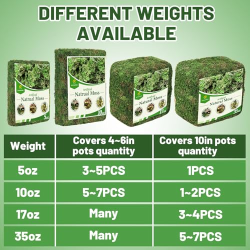 10oz Natural Green Moss for Plants Indoor - Dried Forest Real Moss for Crafts, Artificial Fairy Gardens, Mosswall, Glass Terrariums, Floral Design, Home Decor - style: 10oz