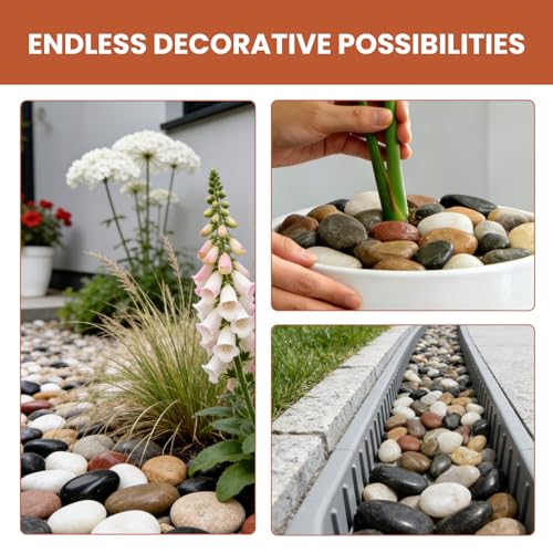 2-3 Inches, 6 Pounds, Mengdeiwi Mixed with Natural Pebbles for Landscaping - size: 6lb, style: colorful