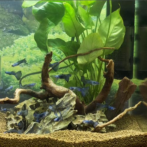 majoywoo Natural Small Driftwood for Aquarium Decor Reptile Decor - size: Spiderwood 4 to 8 Inch(Pack of 5)