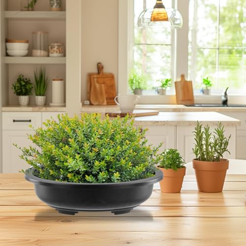 HOIGON 10PCS 12 Inches Plastic Oval Bonsai Training Pots, Black Large Oval Plastic Planter Pot with Drainage Hole, Shallow Plant Nursery Pot for Succulent