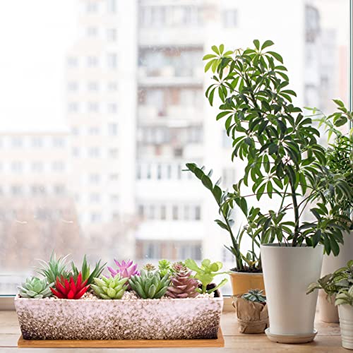 Succulent Pots, 12'' Large Long Rectangle Succulent Planter Pots with Drain - color: White