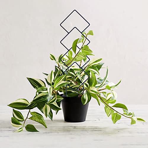 Wellsign 16inch Small Indoor Plant Trellis for Climbing Plants Outdoor | 4PK Black Garden Metal Trellis for Potted Plants with Different Patterns for Vine Ivy Flower Plant Support - size: Back-Metal-Trellis01