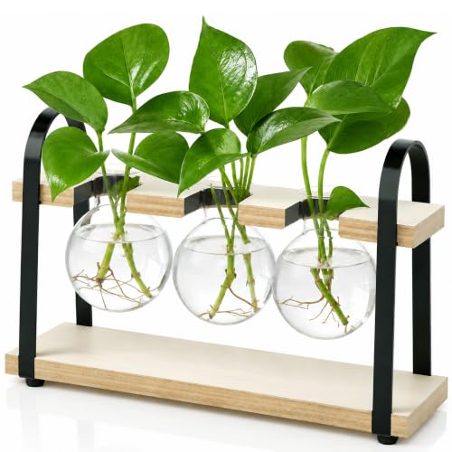 3-Bulb Plant Propagation Station, Glass Vase Terrarium, Retro White - color: White