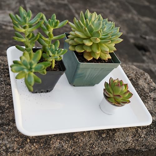 VUWEZ Plant Saucer Growing Tray, Seed Starter Tray Rectangular, Heavy Sturdy Plastic Plant Saucers Drainage Trays, Plant Drip Trays for Pots, Seed Starter Growing Pots (11 x 9 inch, 2 Pack) - color: Creamy White, size: 11'' x 9'' x 1.2'' (2 pack)