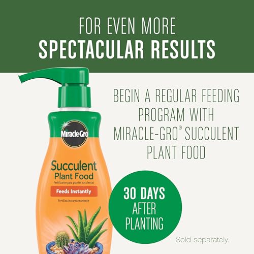 Miracle-Gro Succulent Potting Mix - Potting Soil Mix for Indoor Succulents, Aloe Vera and More, Made with Miracle-Gro Plant Food, 4 qt. (Pack of 10) - size: 10 Pack, style: Succulent
