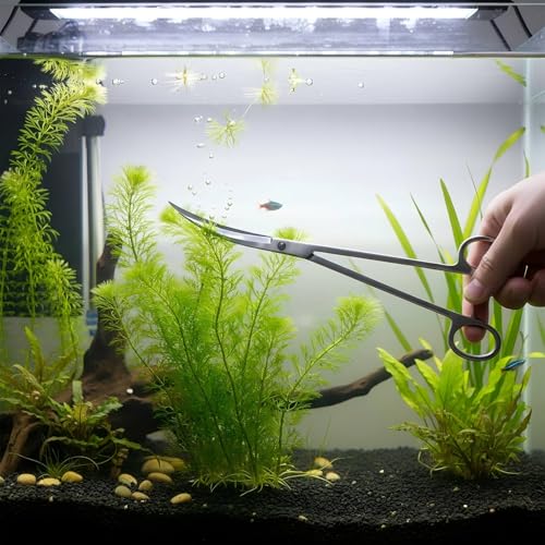 Long Aquarium Scissors for Plants 9.8 inches | Curved, Aquarium Plant Trimmer, Aquascape Tools, Terrarium Tools for Plants