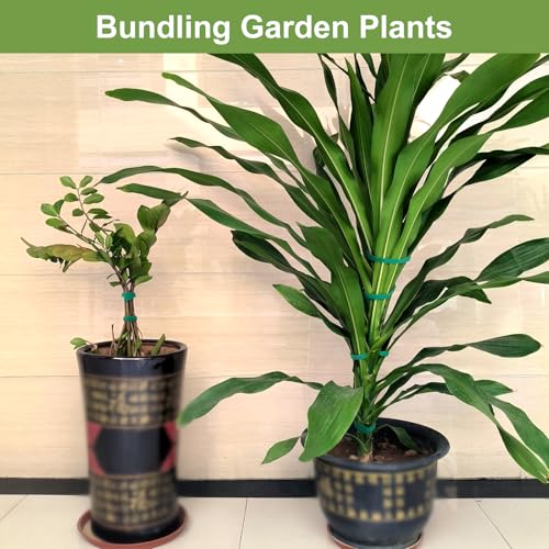 SumDirect Plant Tape 100 ft Plant Ties for Climbing Plants Garden Twist Ties Plants Adjustable Green Garden Tape for Plants, Flowers, Vines and Tree (100 ft x 1/2 in) - size: 100 ft x 1/2 in