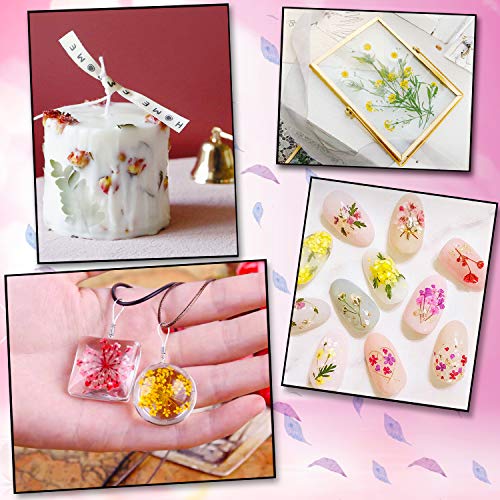 Augshy Red Dried Pressed Flowers, Pressed Red Roses Dried Flowers for Resin Molds Jewelry Nail Art Craft DIY - color: Red