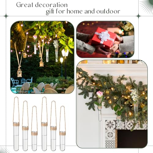12 Pack Wall Hanging Propagation Station Plastic Test Tubes Planters Wall Terrarium for Home Office Plant Hanger Flower Vases Hydroponic Cuttings Office Garden Flowers Walls Decor Lover Gift