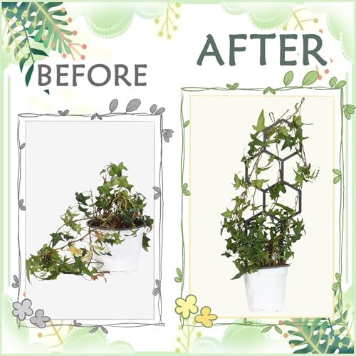 4 Pcs Plant Trellis Indoor Black Small Trellis for Potted Plants | Metal Pothos Plant Climber Support Different Patterns Various Patterns Small Plant Trellis Indoor Outdoor for Climbing Plant - style: Style 1