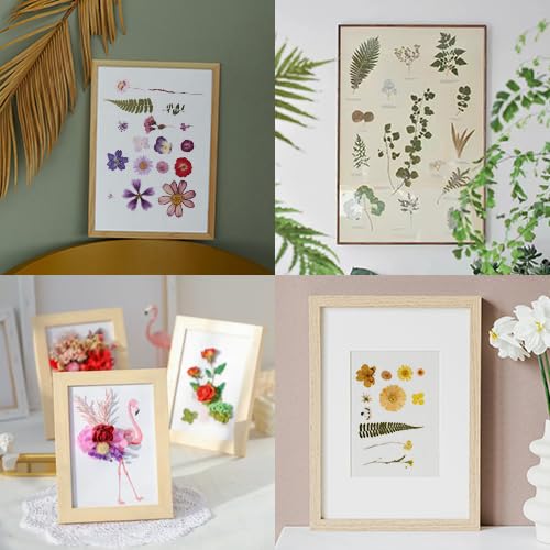 100 PCS Purple Pressed Dried Flowers and Leaves with Tweezers - color: Purple 100